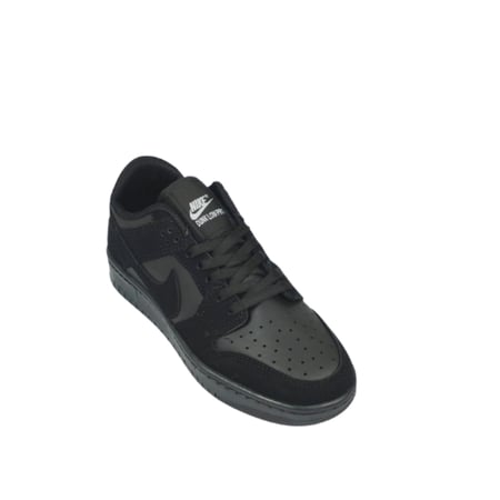 Nike DUNK PRO (D-1 )