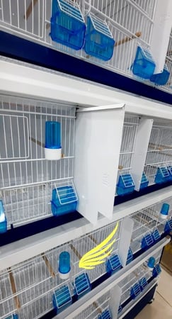 فاصل لعزل الخانة Ital Gabbie