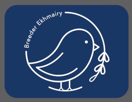 أرقام تسلسلية مغناطيس