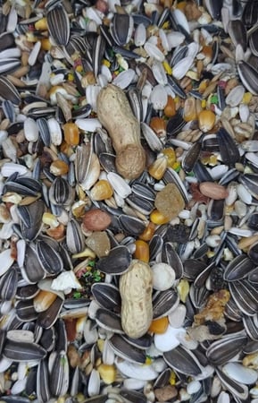 اكل بغبغاوات دلنتشر ( تعبئة 1 كجم )