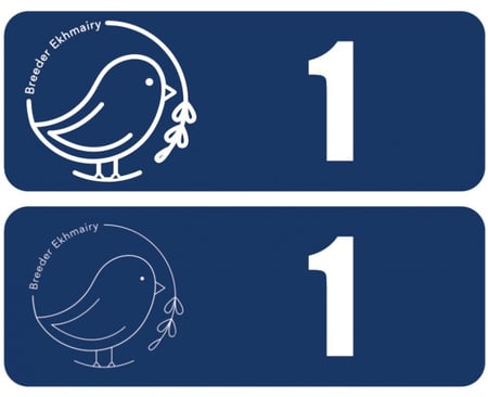 أرقام تسلسلية مغناطيس