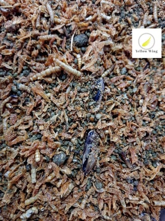 باتيه دود مجفف وحشرات ( تعبئة 500 جرام ) Deli Nature