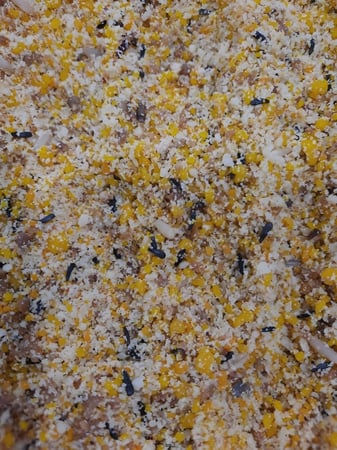 باتيه FLY رطب للبادجي والقولدين والبغبغوات الصغيرة 10 كيلو