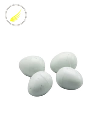 مجموعة بيض أبيض بلاستيك بحجم صغير 2GR