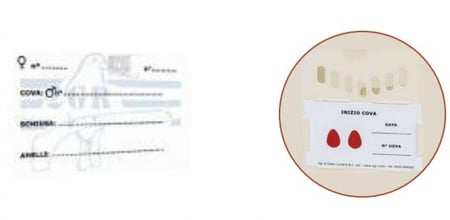 بطاقة معلومات للطيور 2GR