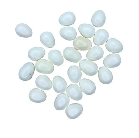 مجموعة بيض أبيض بلاستيك بحجم صغير 2GR