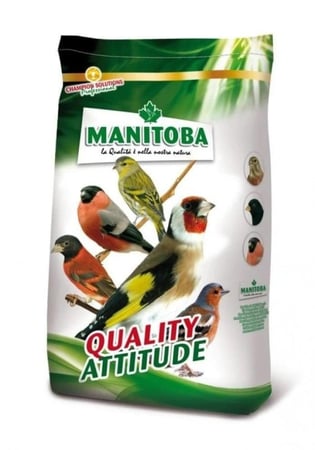 اكل حسون مانيتوبا ( تعبئة 1 كيلو )