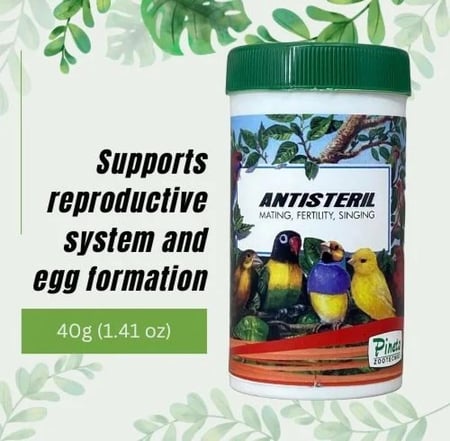 Pineta - فيتامين تزاوج بودر 40 جرام