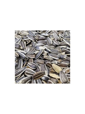 حَب شمسي صغير مانتوبا ( تعبئة 1 كجم )