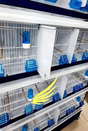 فاصل لعزل الخانة Ital Gabbie