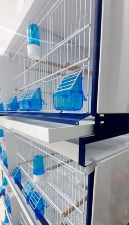 درج حديد لاقفاص Ital Gabbie موديل 64