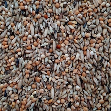 اكل بادجي مانتوبا ( تعبئة 1 كيلو )