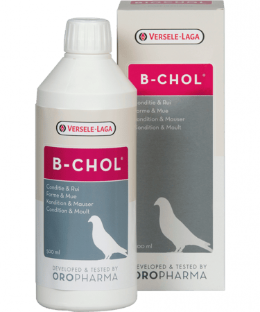 مقوي للكبد بي شول 500مل Versele Laga