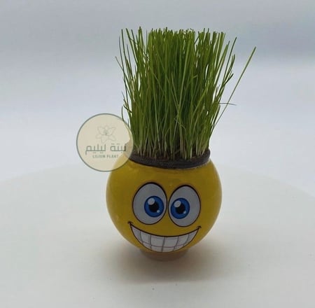 نبتة ايموجي منتج مستورد