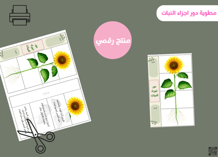 مطوية دور اجزاء النبات-ثاني ابتدائي pdf