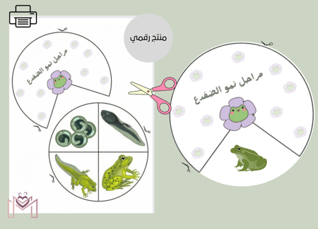 مطويه دورة حياة الضفدع pdf