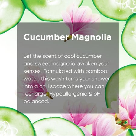 غسول يومي للمناطق الحساسة برائحة الخيار والماغنوليا من فاجيسيل - 354 مل