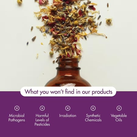 زيت عطرى ناو 30 مل زيت القرنفل. Essential Oils Now 30 ml Clove Oil