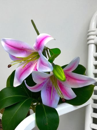 طقم استقبال وضيافه كونكريت ( 8 قطع )