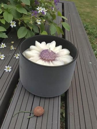 شمعة عطريه برائحه ( لافندر)  ( السعر للحبه )