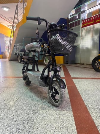 سكوتر كهربائي للكبار بسلة امامية نسخة برو 48V 500W قابل للطي بمساعدات أمامية و مقعدين موديل S20L من لينو LENO