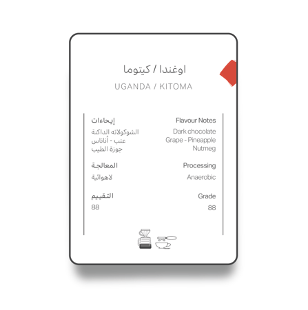 آش | كيتوما - أوغندا