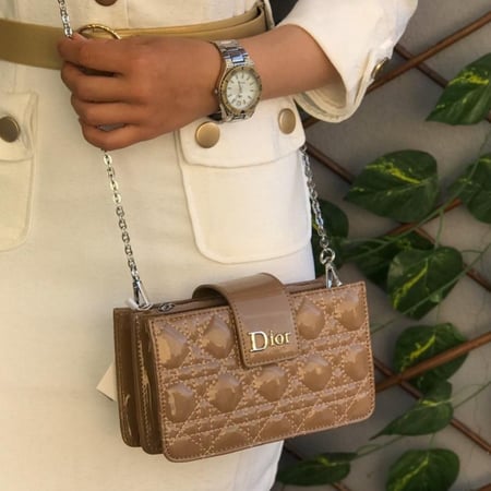 Dior smol bag