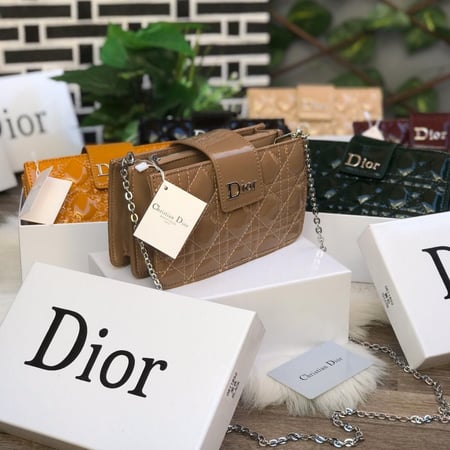 Dior smol bag