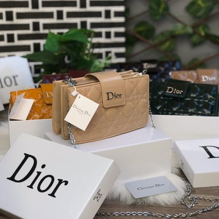 Dior smol bag