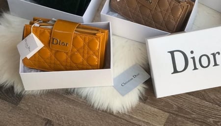 Dior smol bag