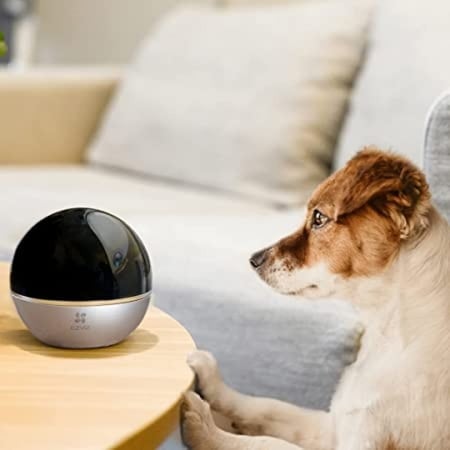 كاميرا امان منزلية ذكية بتقنية WiFi من ايزيفيز C6W بدقة 4 ميجابسكل