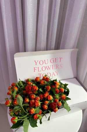 بُوكس البيبي رُوز