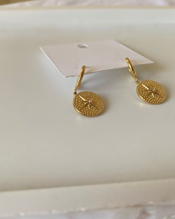 Stainless steel earings