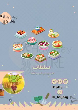 100 سلطة منوعة.. هاي داي