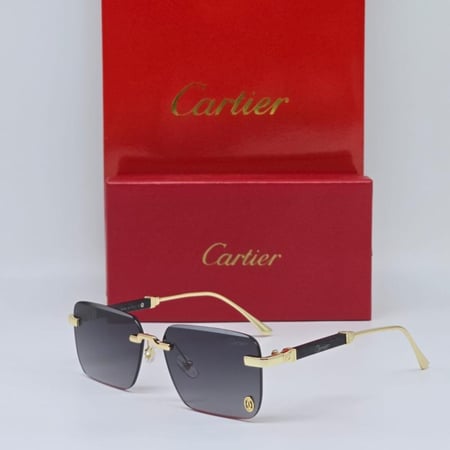 نظارت كارتير مع الملحقات