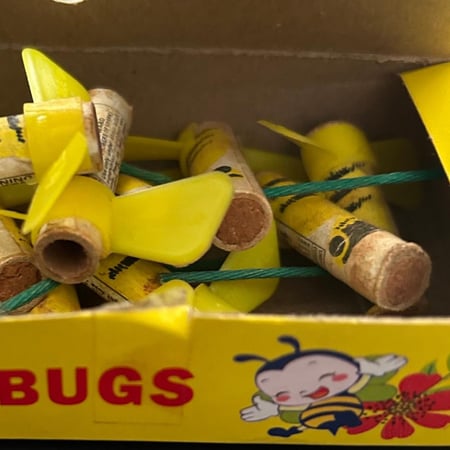 طراطيع نحلة تطير اصلية وحده ليس علبة