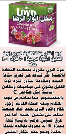 لويد | شاي بنكهة التوت البري وتوت العليق | عبوة هرمية | 20 ظرف | 40 جرام
