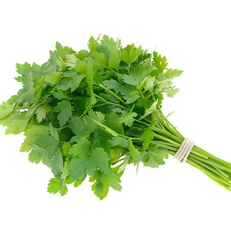بذور البقدونس