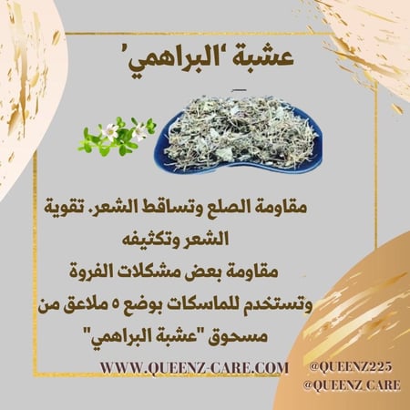 عشبة البراهمي الهندية غير مطحونة لتطويل وتكثيف ومعالجة الشعر 100 غرام