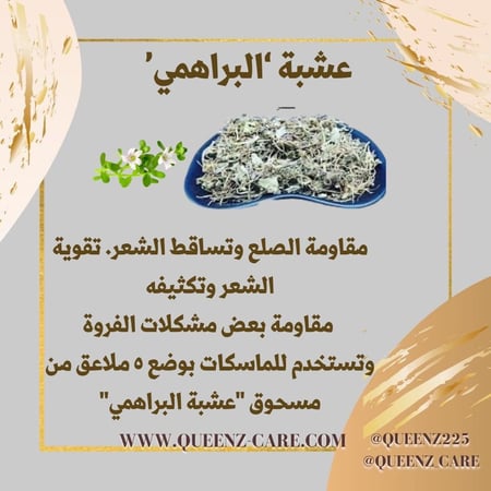 مسحوق مطحون بودر لعشبة البراهمي الهندية لتطويل وتكثيف ومعالجة الشعر 100 غرام