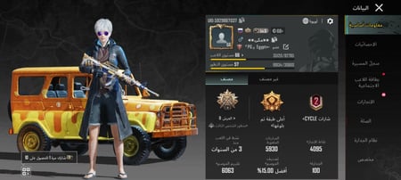حسابات ببجي رخيصة