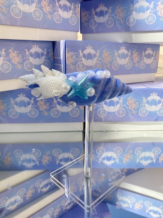 قاعدة اكسسوارات الصدف