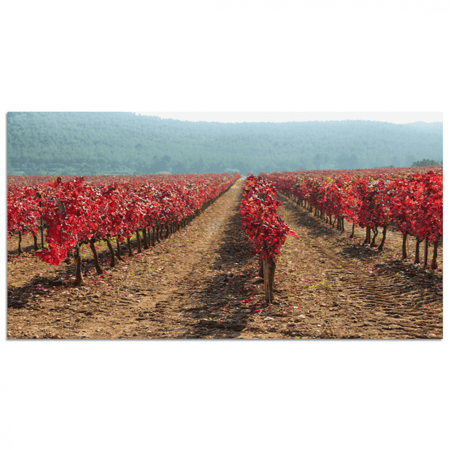 طقم 5 لوحات مقسمة #G5852