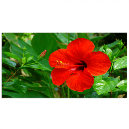 طقم 5 لوحات مقسمة #G59610