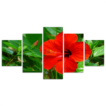 طقم 5 لوحات مقسمة #G59610