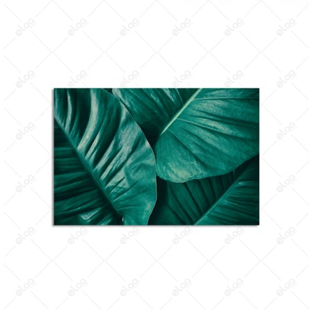 لوحة فنية أوراق شجر الموز الاستوائية