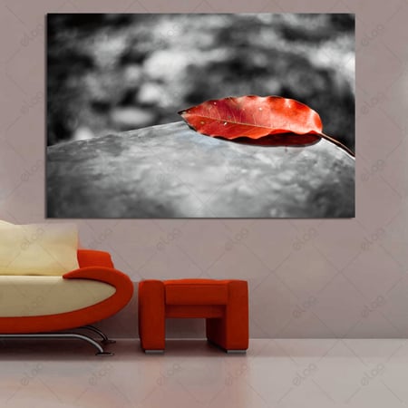 (MDF) لوحة فنية منظر طبيعي ورقة حمراء على خلفية سوداء وبيضاء