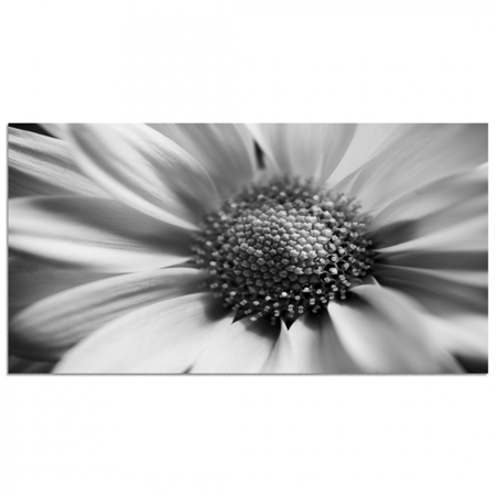 طقم 5 لوحات مقسمة #G5223