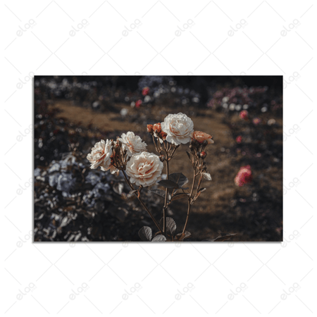 لوحة فن تجريدي لورود بيضاء