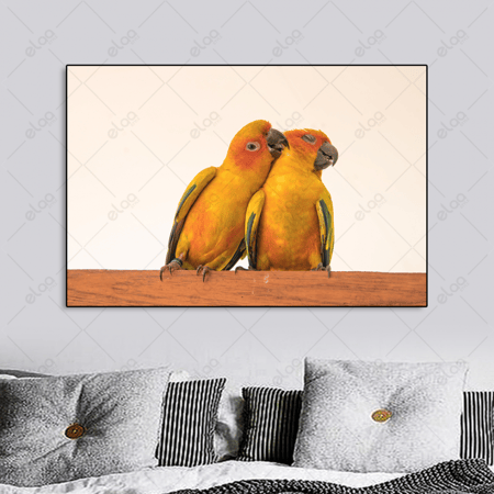 (MDF) لوحة فنية زوجين ببغاء